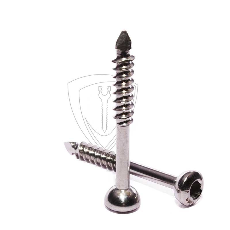 4.5mm Malleolar Screw